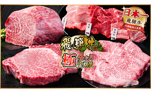 【毎月定期便】飛騨牛 極定期便 計2.2kg【冷蔵便】A4～A5等級 シャトーブリアンほか 全4回【配送不可地域：離島】