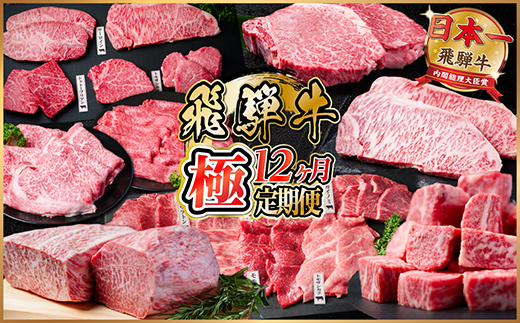 【毎月定期便】飛騨牛 極定期便 計12.9kg【冷蔵便】A4～A5等級 シャトーブリアンほか全12回【配送不可地域：離島】