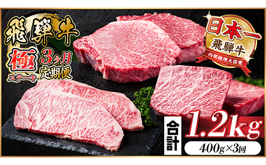 【毎月定期便】飛騨牛 極ステーキ定期便　計約1.2kg【冷蔵便】全3回　A4～A5等級　黒毛和牛【配送不可地域：離島】