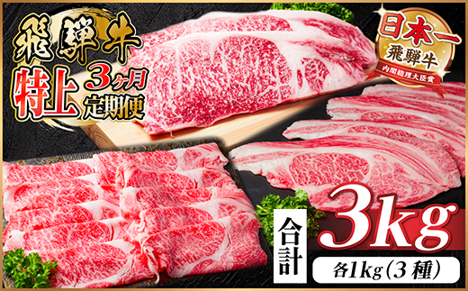 【毎月定期便】飛騨牛 特上定期便 計3kg全3回　小分け【配送不可地域：離島】