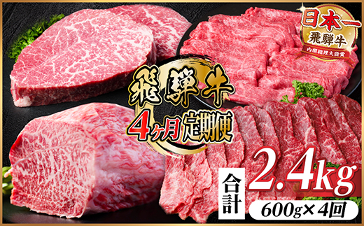 【毎月定期便】飛騨牛 赤身定期便 計2.4kg 焼肉 BBQ すき焼き しゃぶしゃぶ ブロック全4回【配送不可地域：離島】