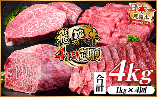 【毎月定期便】飛騨牛 赤身定期便 計4kg 焼肉 BBQ すき焼き しゃぶしゃぶ ブロック全4回【配送不可地域：離島】