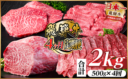 【毎月定期便】飛騨牛 赤身定期便 計2kg 焼肉 BBQ すき焼き しゃぶしゃぶ ブロック全4回【配送不可地域：離島】