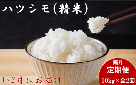 【発送月固定定期便】生産者応援!岐阜県産ハツシモ精米10kg【1・3月発送】【隔月定期便】全2回【配送不可地域：離島】