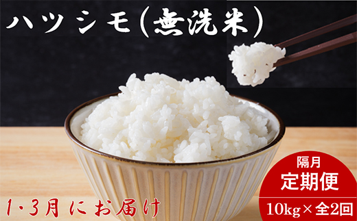 【発送月固定定期便】生産者応援!岐阜県産ハツシモ無洗米10kg【1・3月】【隔月定期便】全2回【配送不可地域：離島】