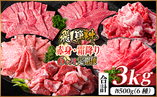 【毎月定期便】飛騨牛　赤身・霜降り定期便　計3kg カルビ・ロース(焼肉・BBQ用) すね肉全6回【配送不可地域：離島】