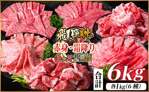 【毎月定期便】飛騨牛　赤身・霜降り定期便　計6kg カルビ・ロース(焼肉・BBQ用) すね肉全6回【配送不可地域：離島】