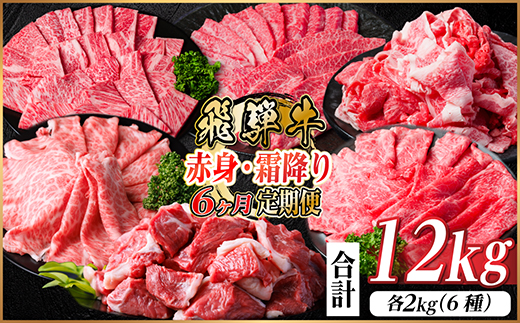 【毎月定期便】飛騨牛　赤身・霜降り定期便　計12kg カルビ・ロース(焼肉・BBQ用) すね肉全6回【配送不可地域：離島】