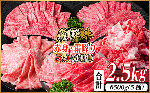 【毎月定期便】飛騨牛　赤身・霜降り定期便　計2.5kg カルビ・赤身・ロース(焼肉・BBQ用)全5回【配送不可地域：離島】