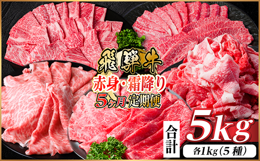 【毎月定期便】飛騨牛　赤身・霜降り定期便　計5kg カルビ・赤身・ロース(焼肉・BBQ用)全5回【配送不可地域：離島】