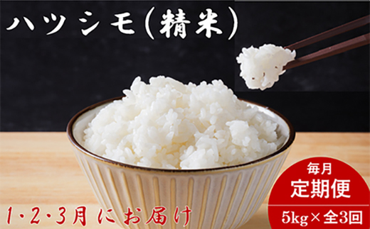 【発送月固定定期便】生産者応援!岐阜県産ハツシモ(精米)5kg【1・2・3月発送】全3回【配送不可地域：離島】