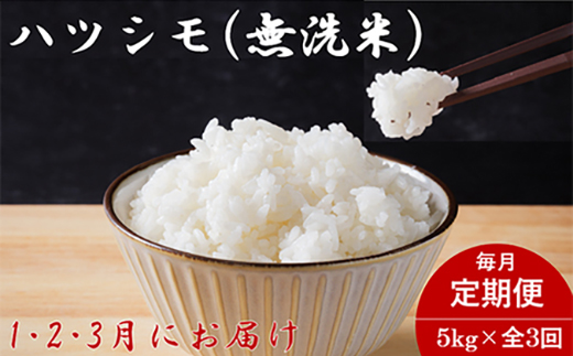 【発送月固定定期便】生産者応援!岐阜県産ハツシモ(無洗米)5kg【1・2・3月発送】全3回【配送不可地域：離島】