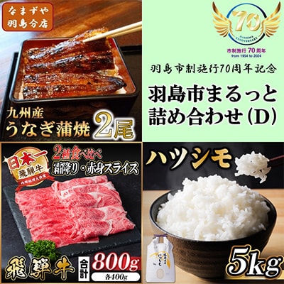 羽島市まるっと詰め合わせ(D)【複数個口で配送】【配送不可地域：離島】