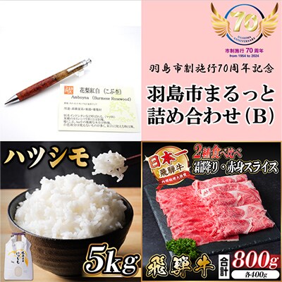 羽島市まるっと詰め合わせ(B)【複数個口で配送】【配送不可地域：離島】