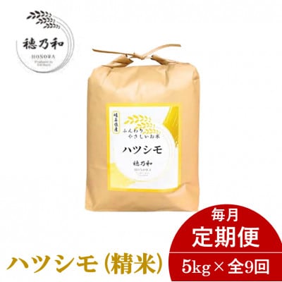 【発送月固定定期便】【先行予約】岐阜県産ハツシモ(精米)5kg全9回【配送不可地域：離島】