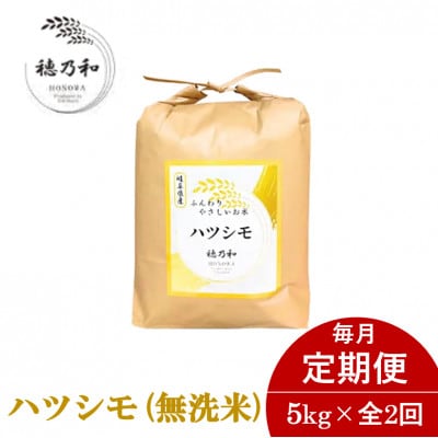 【発送月固定定期便】【先行予約】岐阜県産ハツシモ(無洗米)5kg全2回【配送不可地域：離島】