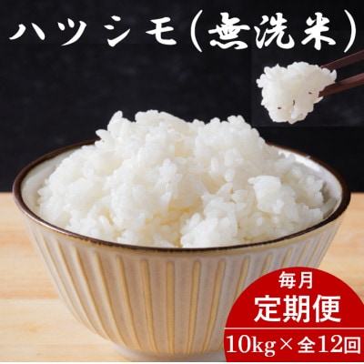 【毎月定期便】岐阜県産ハツシモ(無洗米) 10kg全12回【配送不可地域：離島】