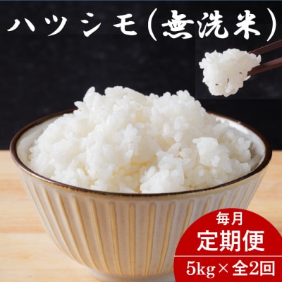 【毎月定期便】岐阜県産ハツシモ(無洗米) 5kg全2回【配送不可地域：離島】