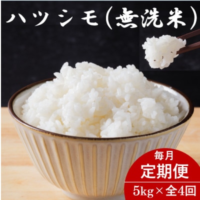 【毎月定期便】岐阜県産ハツシモ(無洗米) 5kg全4回【配送不可地域：離島】