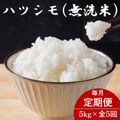 【毎月定期便】岐阜県産ハツシモ(無洗米) 5kg全5回【配送不可地域：離島】