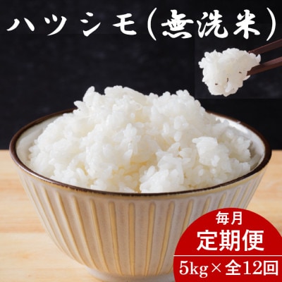 【毎月定期便】岐阜県産ハツシモ(無洗米) 5kg全12回【配送不可地域：離島】
