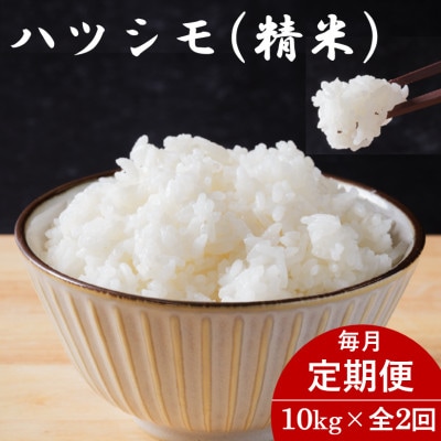 【毎月定期便】岐阜県産ハツシモ(精米) 10kg全2回【配送不可地域：離島】