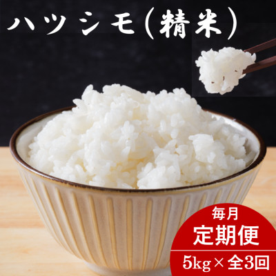 【毎月定期便】岐阜県産ハツシモ(精米) 5kg全3回【配送不可地域：離島】