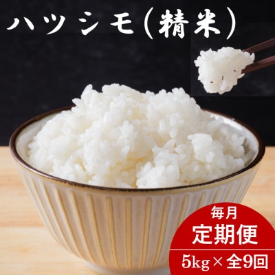 【毎月定期便】岐阜県産ハツシモ(精米) 5kg全9回【配送不可地域：離島】