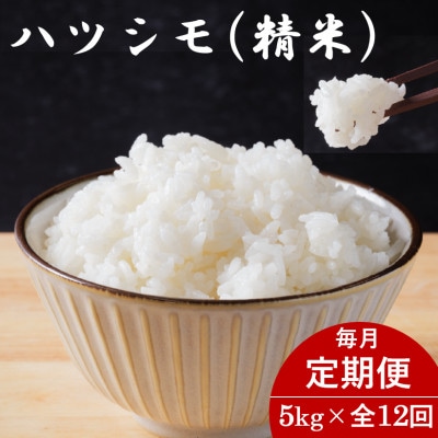 【毎月定期便】岐阜県産ハツシモ(精米) 5kg全12回【配送不可地域：離島】