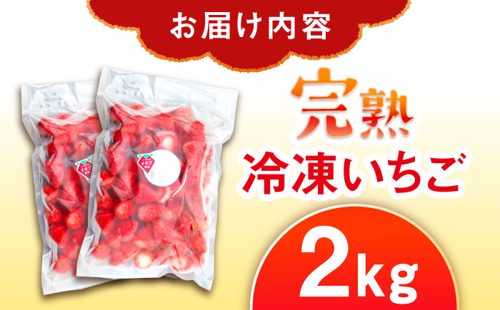 【先行予約】【2026年1月中旬より順次発送】冷凍いちご 2kg / 苺 いちご イチゴ 冷凍 冷凍イチゴ 冷凍苺 / 恵那市 クリエイティブファーマーズ [AUAH024]