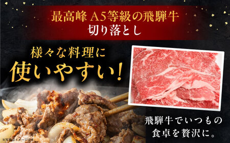 【年内配送】飛騨牛 切り落とし肉 A5ランク 500g×2パック (1kg) 和牛 国産 霜降り 恵那市 / 岩島屋 [AUAJ015]
