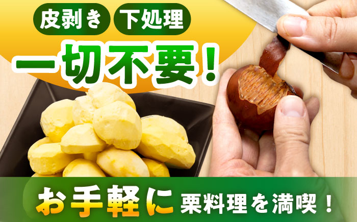 冷凍むき栗「日本栗」 計500g（250g×2P）/ 栗 くり 日本栗 むき栗 岐阜 恵那 / 恵那市 / えな笠置山栗園 [AUAV005] 500g