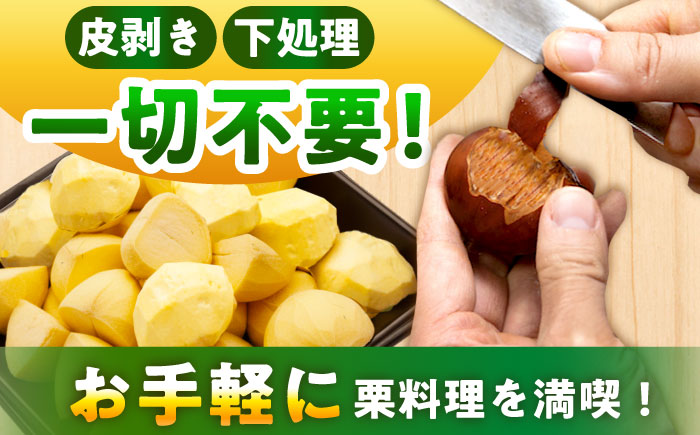 冷凍むき栗「日本栗」 カット1kg（250g×4P）/ 栗 冷凍 生栗 くり むき栗 マロン 低温熟成 日本栗 国産 和栗 岐阜県産 恵那市産 産地直送 送料無料 お取り寄せ ギフト 贈答 / 恵那市 / えな笠置山栗園 [AUAV007]