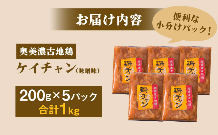 【年内配送】地鶏を使った岐阜県郷土料理「ケイチャン」セット 10人前（200g×5P） / 鶏 鶏肉 地鶏 郷土料理 小分け / 恵那市 / 中部食産 [AUBW003]