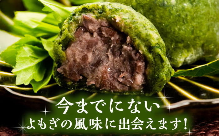 【年内配送】天然よもぎを使用した よもぎ大福10個 / よもぎ ヨモギ 大福 だいふく まんじゅう 和菓子 よもぎ餅 ヨモギ餅 もち / 恵那市 / 良平堂 [AUDB037]