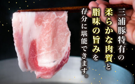 【年内配送】三浦豚 豚肉 ロース900ｇ（しゃぶしゃぶ用）/ ブランド豚 国産 ポーク しゃぶしゃぶ 恵那市 / あづま精肉店 [AUDL004]