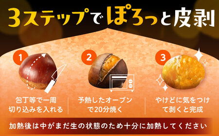 ＼間もなく受付終了！／岐阜県産栗「東美濃ぽろたん」 2kg / 栗 くり 栗きんとん / 東美濃農業協同組合 [AUDS001]