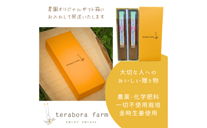 こだわり金時しょうがシロップ 200ml×2本 ギフトセット / しょうが ショウガ 生姜 ジンジャー 生姜シロップ ジンジャーシロップ / 恵那市 / てらぼら農園 [AUDZ001]