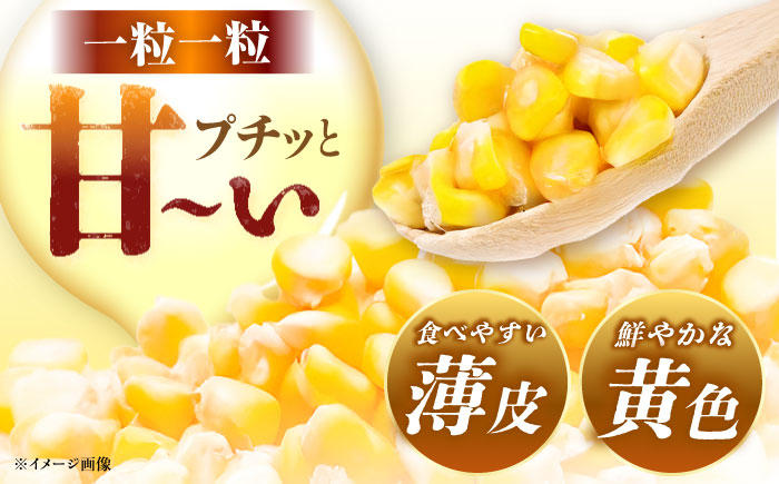 【先行予約】【2025年7月から8月上旬に順次発送】とうもろこし 恵味ゴールド 約5kg(梱包込) / 野菜 やさい コーン / 恵那市 / 大島農園 [AUEH001]