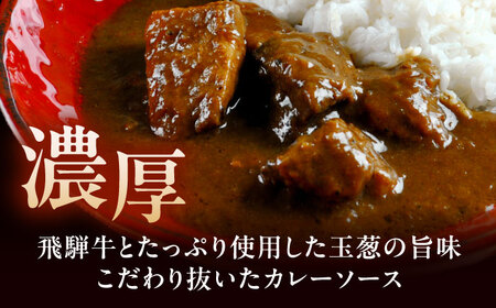 -あふひ 贅の極み- 飛騨牛カレー 2人前×4個セット / レトルトカレー ご当地カレー 常温保存 時短 / 恵那市 / テンポイント [AUEU003] 4個
