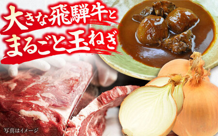 -あふひ 贅の極み- まるごと玉葱と飛騨牛のシチュー 2人前×4個セット / レトルトビーフシチュー 常温保存 時短 非常食 / 恵那市 / テンポイント [AUEU007] 4個