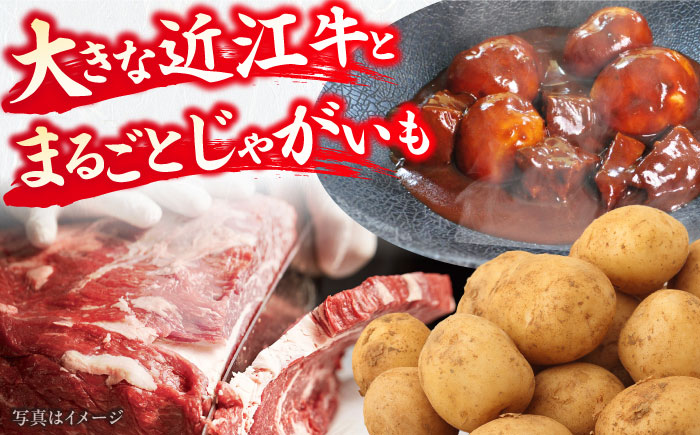 -あふひ 贅の極み- まるごとじゃがいもと近江牛のシチュー レトルト 2人前×3個セット ビーフシチュー デミグラスソース 保存食 恵那市 / テンポイント [AUEU022] 3個