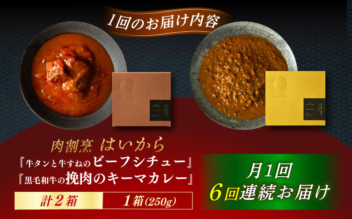 【6回定期便】肉割烹はいから『牛タンと牛すねのビーフシチュー』『黒毛和牛の挽肉のキーマカレー』/ レトルト セット 牛肉 / 恵那市 / TWO-FACE JAPAN [AUFI030] 6回