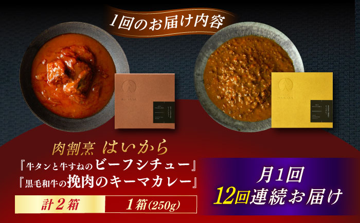 【12回定期便】肉割烹はいから『牛タンと牛すねのビーフシチュー』『黒毛和牛の挽肉のキーマカレー』/ レトルト セット 牛肉 / 恵那市 / TWO-FACE JAPAN [AUFI031] 12回
