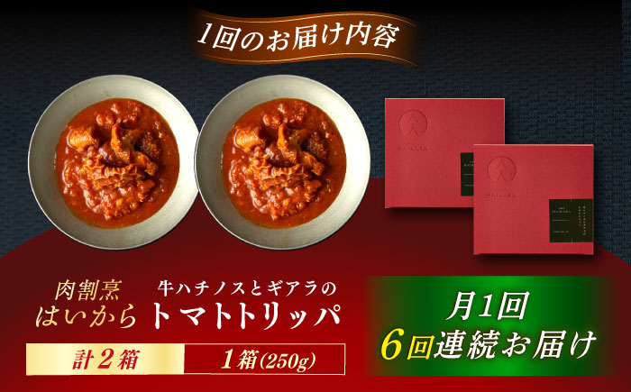 【6回定期便】肉割烹はいから 『牛ハチノスとギアラのトマトトリッパ』2個セット / レトルト 牛肉 / 恵那市 / TWO-FACE JAPAN [AUFI042] 6回