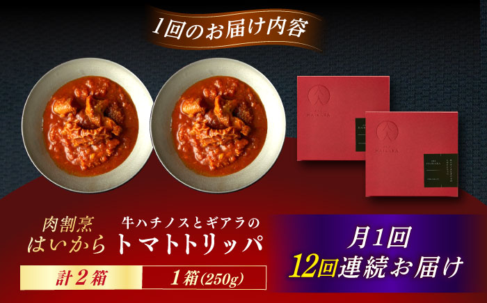 【12回定期便】肉割烹はいから 『牛ハチノスとギアラのトマトトリッパ』2個セット / レトルト 牛肉 / 恵那市 / TWO-FACE JAPAN [AUFI043] 12回