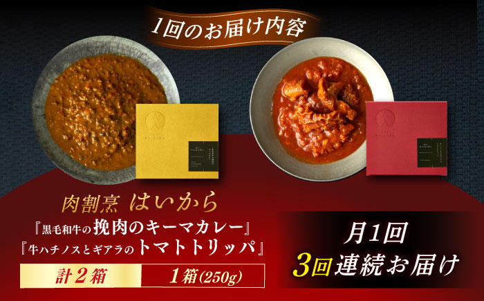 【3回定期便】肉割烹はいから『黒毛和牛の挽肉のキーマカレー』『牛ハチノスとギアラのトマトトリッパ』/ レトルト セット 牛肉 / 恵那市 / TWO-FACE JAPAN [AUFI044] 3回