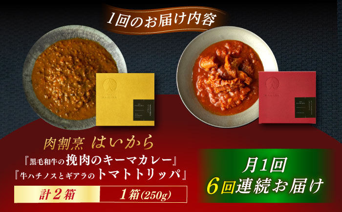 【6回定期便】肉割烹はいから『黒毛和牛の挽肉のキーマカレー』『牛ハチノスとギアラのトマトトリッパ』/ レトルト セット 牛肉 / 恵那市 / TWO-FACE JAPAN [AUFI045] 6回