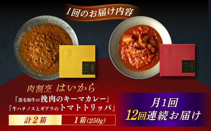 【12回定期便】肉割烹はいから『黒毛和牛の挽肉のキーマカレー』『牛ハチノスとギアラのトマトトリッパ』/ レトルト セット 牛肉 / 恵那市 / TWO-FACE JAPAN [AUFI046] 12回