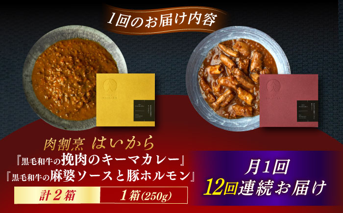 【12回定期便】肉割烹はいから『黒毛和牛の挽肉のキーマカレー』『黒毛和牛の麻婆ソースと豚ホルモン』/ レトルト セット 牛肉 / 恵那市 / TWO-FACE JAPAN [AUFI049] 12回
